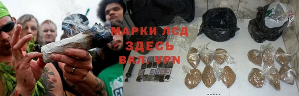 ГАЛЛЮЦИНОГЕННЫЕ ГРИБЫ Алексин