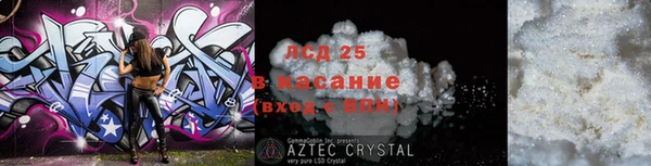 стаф Алзамай