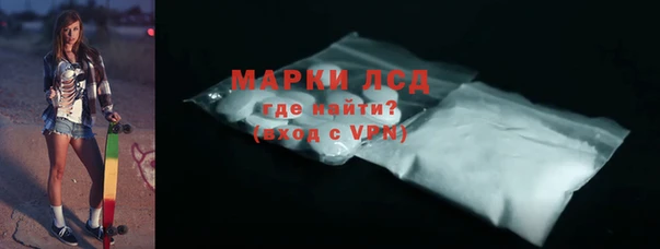 стаф Алзамай
