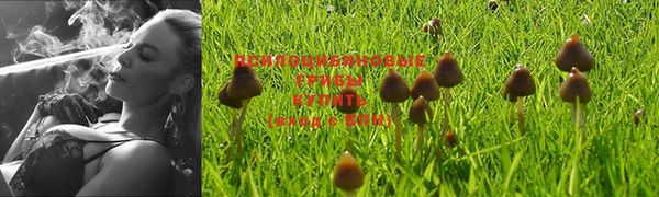 спайс Алексеевка